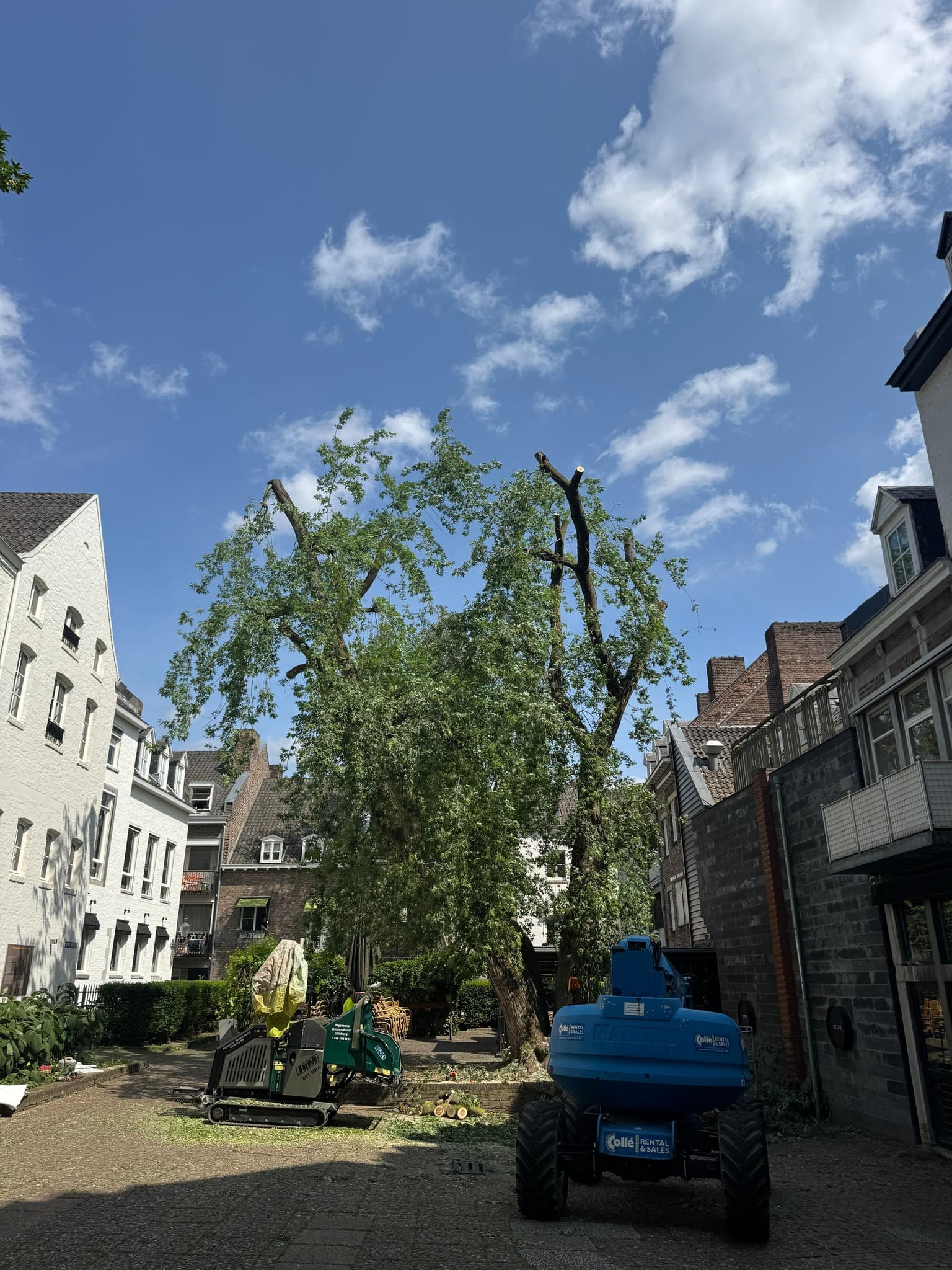 Gedeeltelijk gedemonteerde boom op een binnenhof met hoogwerker en kraan