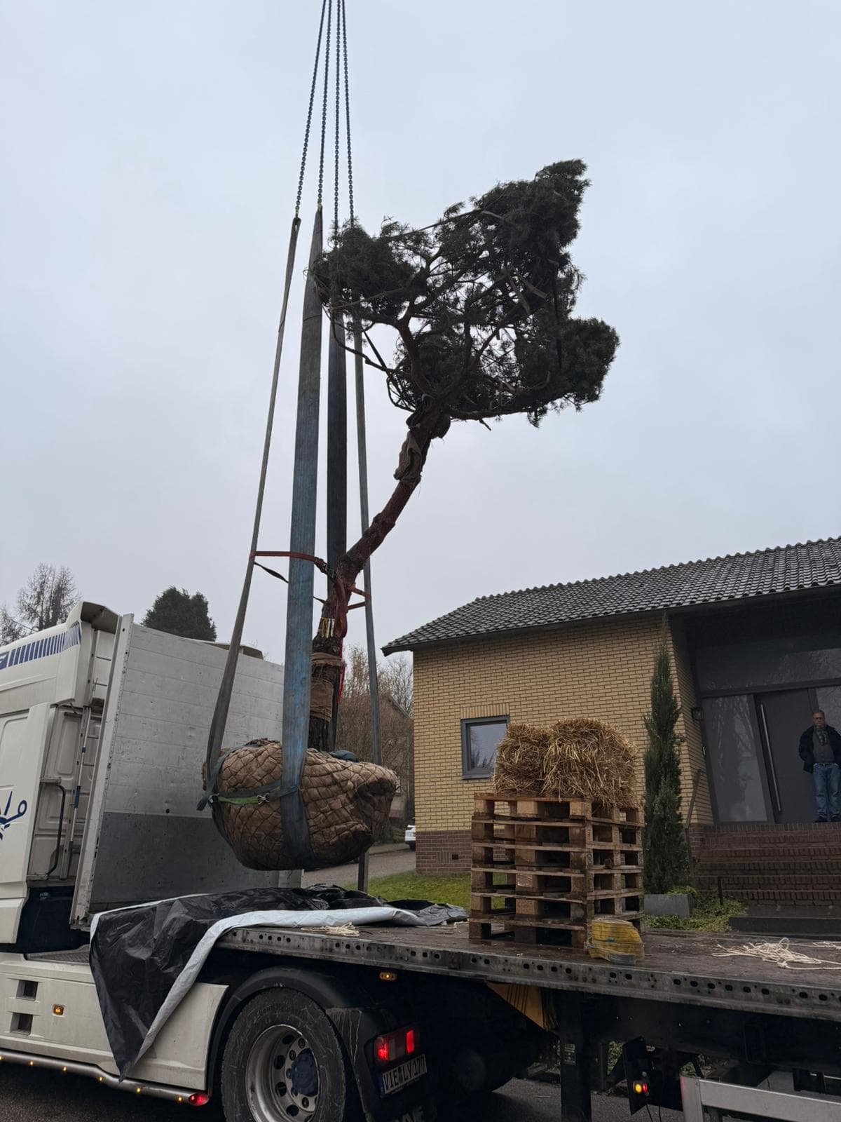 Kraan tilt een grote Grove den met kluit van de vrachtwagen