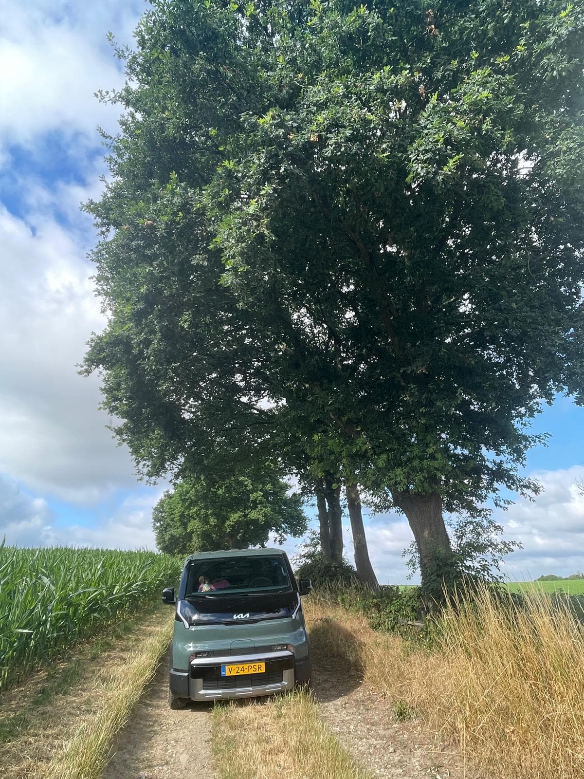 Elektrische bedrijfswagen van de onderzoeksafdeling bij een bomenrij