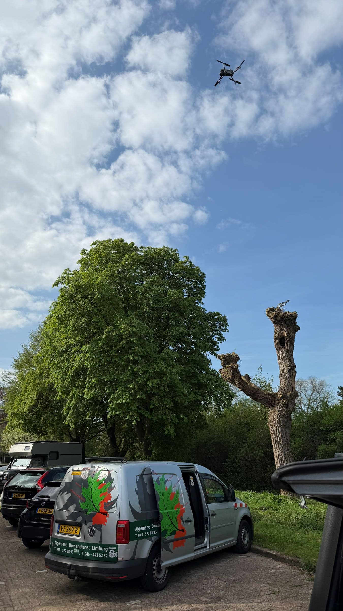Drone stijgt op naast de onderzoeksbus voor de inspectie van een holle knotboom