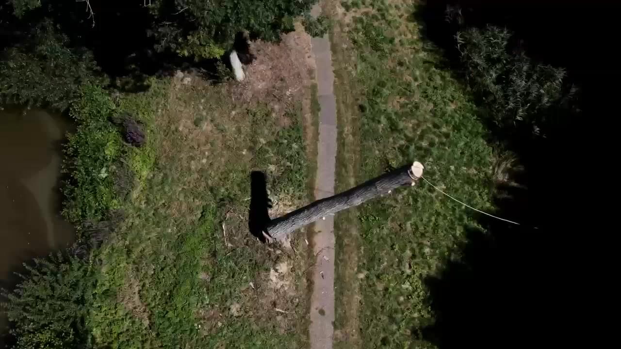 Dronebeeld van boomwerkzaamheden vanuit de lucht