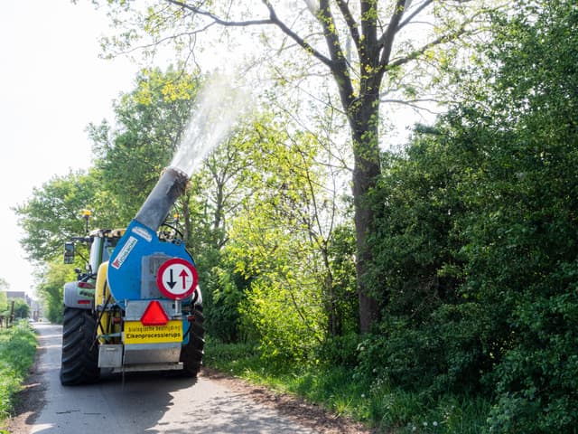 Tractor met spuitkanon behandelt eiken preventief tegen de eikenprocessierups