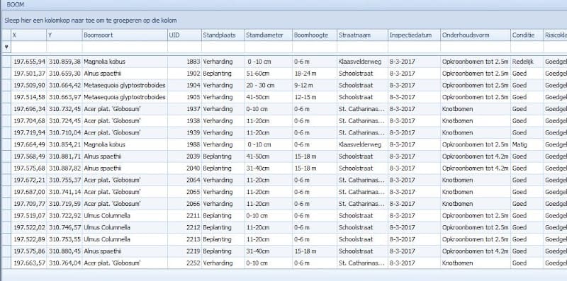 Boominventarisatie: digitale registratie van een bomenbestand