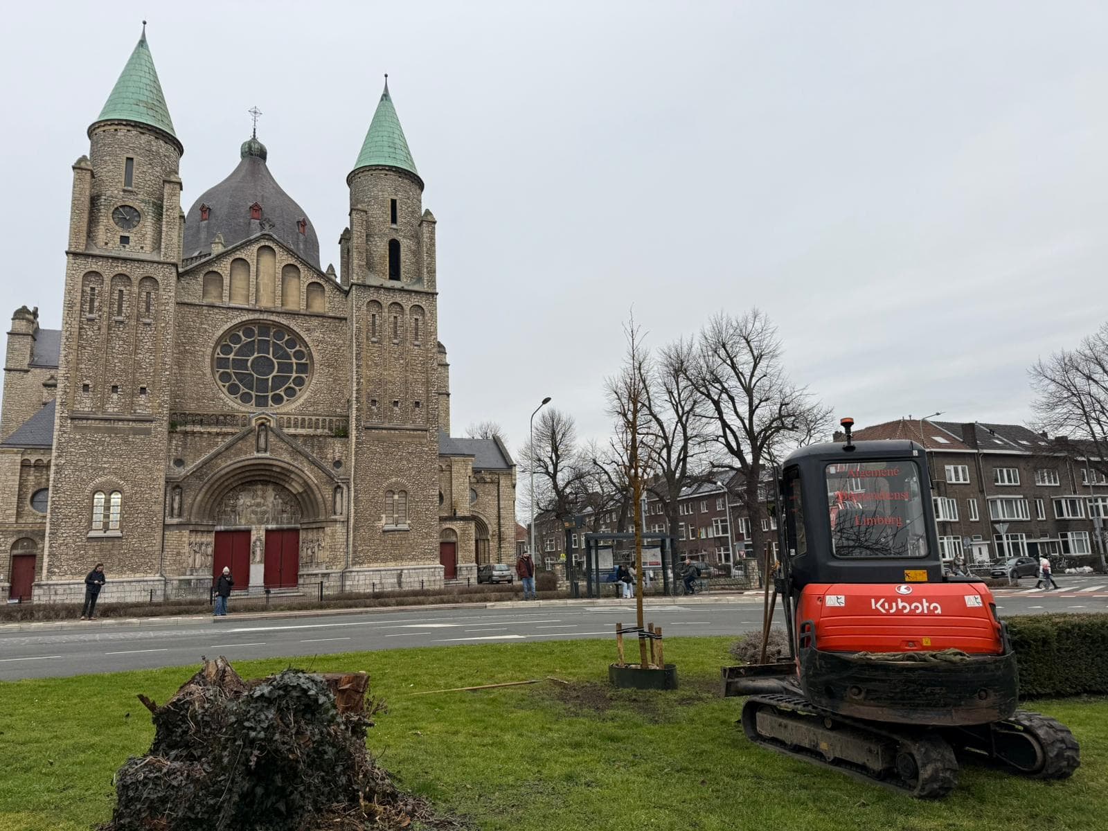 Gefreesde stobbe op de voorgrond terwijl ernaast een nieuwe boom wordt geplant