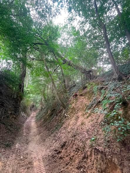 Uitdagende klus in een holle weg, foto 4