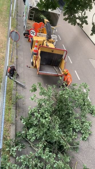 Van tak- en stamhout naar duurzame energie, foto 3