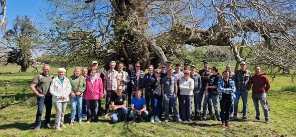 25 jaar geleden begon het met passie voor bomen, foto 3