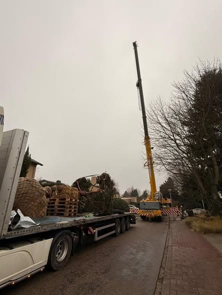Grove den van formaat geplant, foto 2
