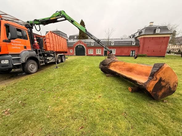 Een boom met een verhaal: van boom naar bank, foto 2