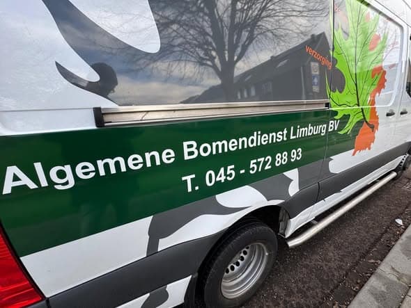 Sterke start: honderden bomen geplant, foto 2