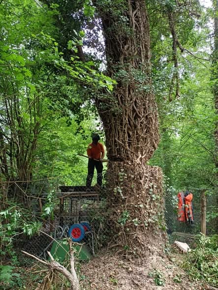 Veiligheid en natuur in balans, foto 1