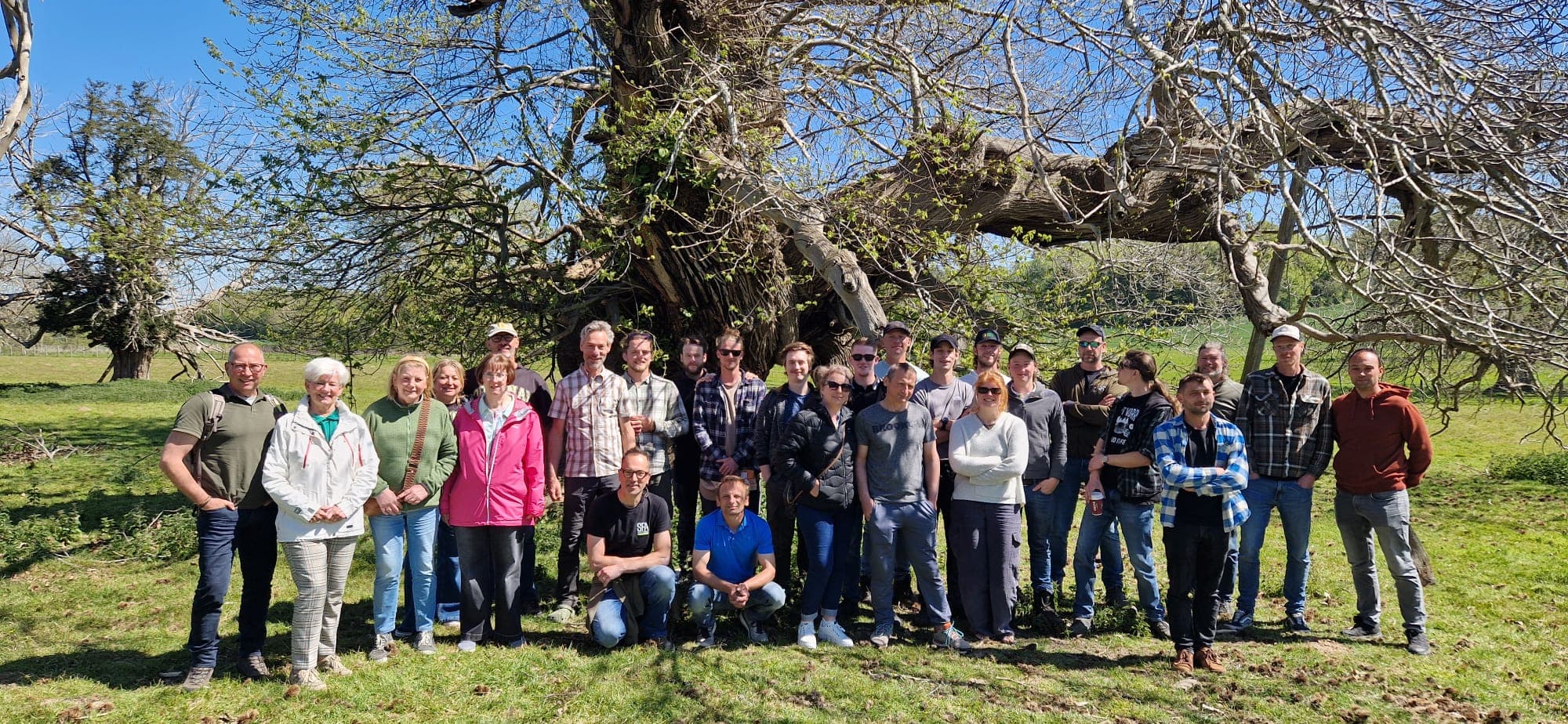Het voltallige ABL team bij een monumentale boom tijdens het jubileumuitje in Engeland